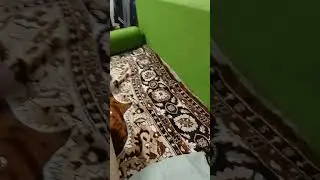 #пьюкомппот #стопкринж