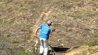 Covas e plantio de melancias - área 1