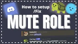 How to make/fix mute role in discord