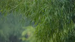 For sleep the rain/Для сна дождь
