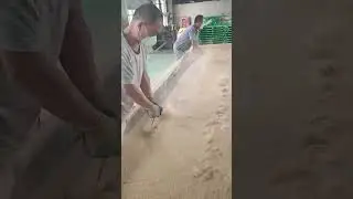 What diseases can you get from working here?