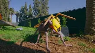 Butterflies and Big Bugs