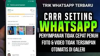 Cara Setting WhatsApp Agar Penyimpanan HP Tidak Cepat Penuh | foto wa tidak tersimpan di galeri