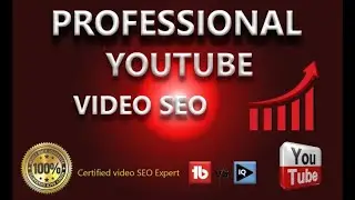 Video SEO Expert
