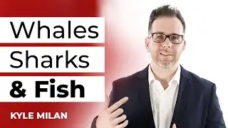 Technical Sales Engineer - Top 3 Prospect Categories and How To Manage Them