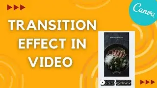 How to add TRANSITION EFFECT to video in canva // The Canva Concepts