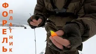 Рыбалка зимняя 2017! Форель на платнике! Эта рыбалка в новогодние праздники принесла море эмоций!