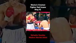 Bob & Weave! Master of the Timed  Counter Explained #techniquebreakdown #boxing