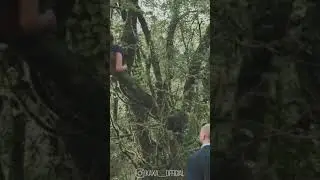 ИСТОРИЯ ОДНОЙ ДЕВУШКИ В ЛЕСУ / НЕПОСРЕДСТВЕННО КАХА