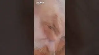 89.  Авраам послушно исполнил повеление.