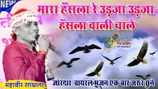 मारा हँसला रे उड़जा उड़जा हँसला वाली चाल  Mahaveer Sankhla Desi Bhajan Mara Hansla Re 2024 Pune live