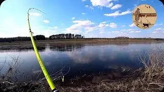 Everything bites. Lost the bream. Camping, fishing, bushcraft,