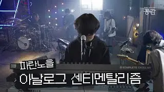 [파란노을 명반 LIVE] 과거의 음악은 이렇게 다시 신선해진다 | 아날로그 센티멘탈리즘