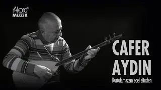 ECEL ELINDEN , Dünya umuruna meylini verme