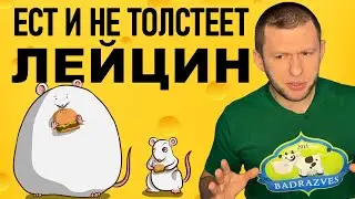 как есть Лейцин и не толстеть? Аминокислота лейцин польза для организма.