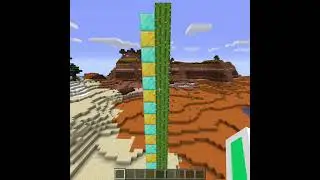 Tallest Natural Cactus in Minecraft