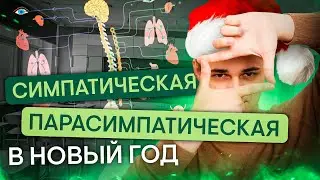 Симпатическая и парасимпатическая системы в Новый год | Биология с Мишей Гис | ЕГЭ 2024 | SMITUP