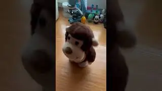 JOURNEY MONKEY - DON'T STOP BELIEVING