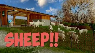 SHEEP! - Elm Creek - Farming Simulator 22 - Ep 10