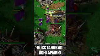 Паладин воскресил всю армию