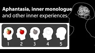 Aphantasia, internal monologue, and inner experience, with Russell Hurlburt