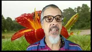 TCC DE JORGE VASCONCELLOS