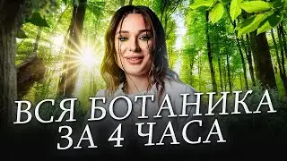 БЕЗ этой темы ты НЕ СДАШЬ ЕГЭ по биологии на 100 БАЛЛОВ! / ВСЯ БОТАНИКА для ЕГЭ по био за 6 часов!