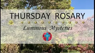 Thursday Rosary • Luminous Mysteries of the Rosary 💚 October 31, 2024 VIRTUAL ROSARY - MEDITATION