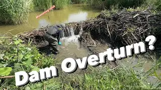 4 Beaver Dams Complex Today!