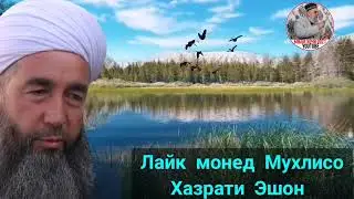 Эшони Нуридинчон Саволу чавоб 2021