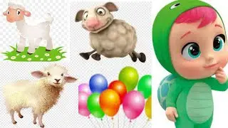 Mary Had a Little Lamb|| Children Rhymes || Music for Kids||