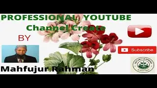 Professional YouTube Channel Creation and Upload process of  Video