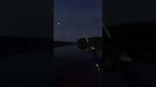 Кайфанул от вываживания🎣😃 #рыбалка2024 #сом #fishing #shorts #всегданарыбалке