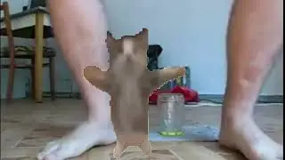 Кот шнапи флексит в разных местах