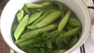 Пиканы !!! Неопасный борщевик. Вкусный и полезный!