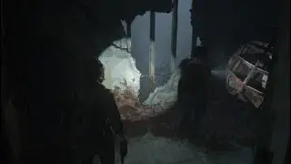 The Last of Us™ Part II 06