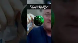 🛰 Типичный день на МКС 