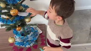 Готовимся к Новому году/письмо Деду Морозу/уборка дома/наши покупки