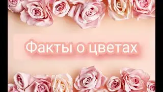 Факты о цветах