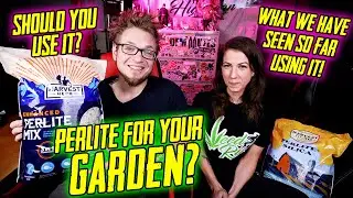 Perlite In Your Garden?