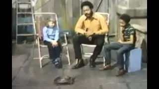 Sesame Street - Animal Antics - Turtle w/Gordon (1970)