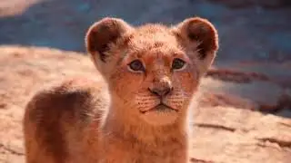 Papaoutai (Instrumental) _Afro_Soul__-_The_Lion_King_Cinematic_Tribute__Fan_Made_