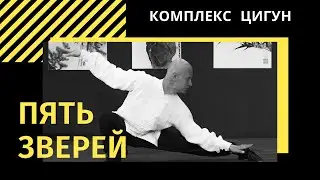 Taoist complex QIGONG - Five Animals