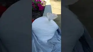Карбамид под корень, можно или нет.