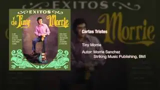 Tiny Morrie - 