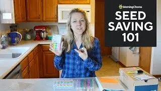 Seed Saving 101: How to Save Seeds from Your Garden