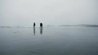 Road to Tofino (Cinematic)