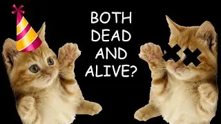 Schrödinger's Cat Experiment | Quantum Physics