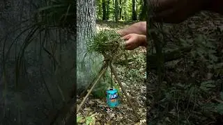 Survival Skills: Amazing DIY Mosquito and Midge Repellent. #survival #camping