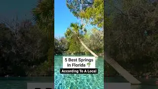 📍Best Springs In Florida! 
